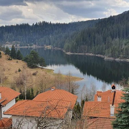 Вила Родопи 도스파트 외부 사진